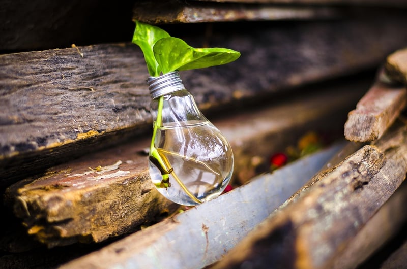 DIY Recycled Projects